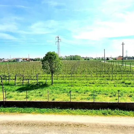 Sartori 레그나고