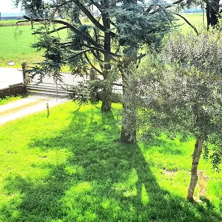 Sartori Legnago